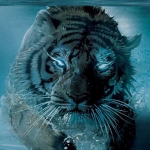 Meet your Posher, Shayan